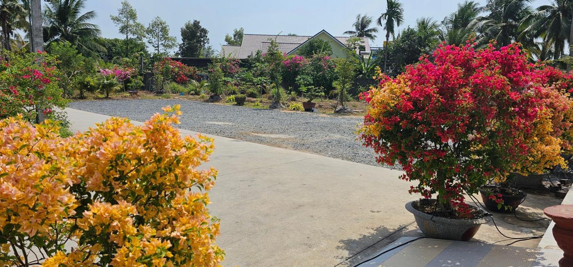 Nha Nghi Truc May Ben Tre Buitenkant foto